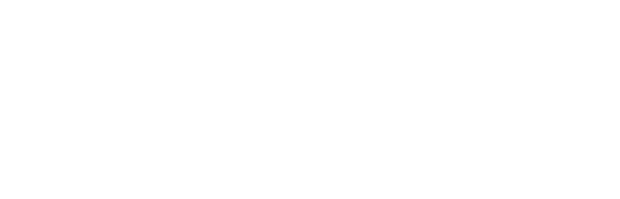 Avanza Pro Talent